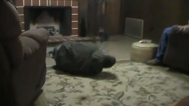 Retard Rack'em up смотреть онлайн