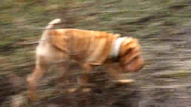 Aiza2 смотреть онлайн