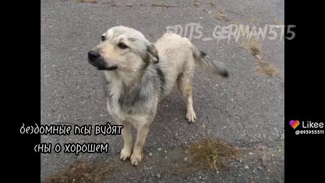 люди опомнитесь 😭😭😭😭😭😭😭 смотреть онлайн