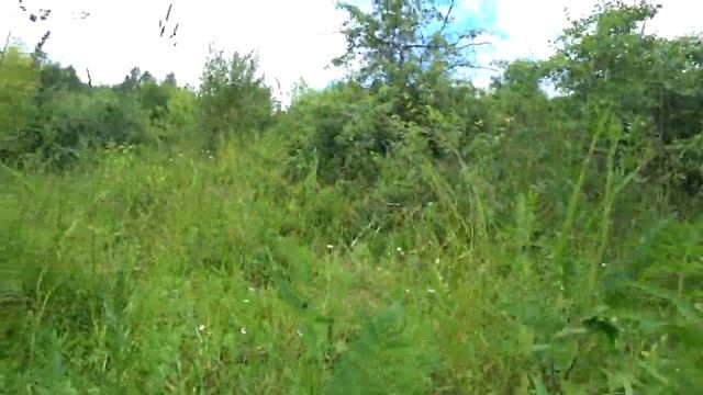 Лето. 30 июня в сады. смотреть онлайн