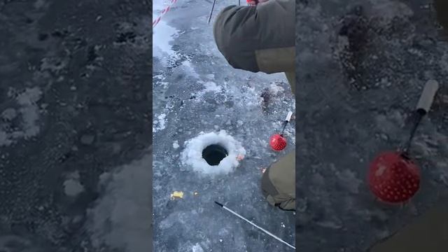 9 декабря 2020 г.
