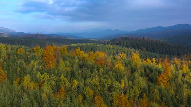 Flute Music with Healing Nature Sounds, relaxing meditation featuring beautiful nature scene смотреть онлайн