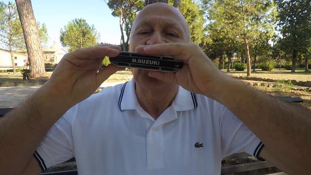 (Mikis Theodorakis) Zorba's Dance for Harmonica смотреть онлайн