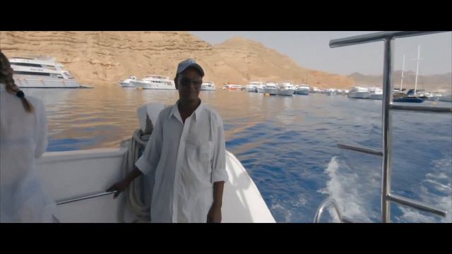 Diving in Sharm El-Sheikh with Reef Oasis Dive Club смотреть онлайн