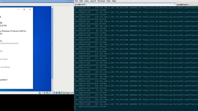 Windows Update Squid 4.10 Cache PoC смотреть онлайн