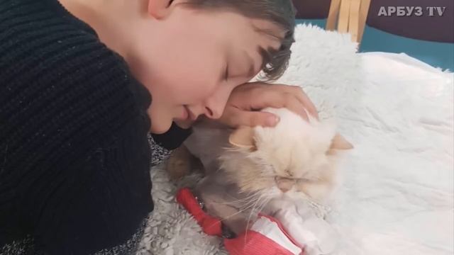 УМИРАЮЩИЙ КОТ ИЗ ПОСЛЕДНИХ СИЛ ПОДПОЛЗ К ПЛАЧУЩЕМУ ХОЗЯИНУ смотреть онлайн