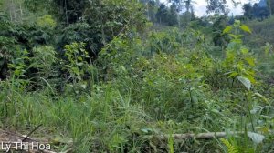 FULL VIDEO 150 days Build a house in the forest, survive in the forest