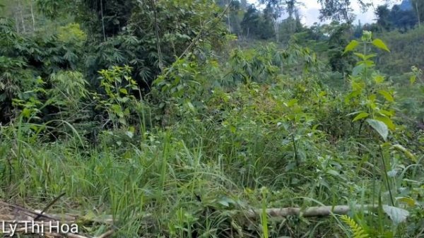 FULL VIDEO 150 days Build a house in the forest, survive in the forest