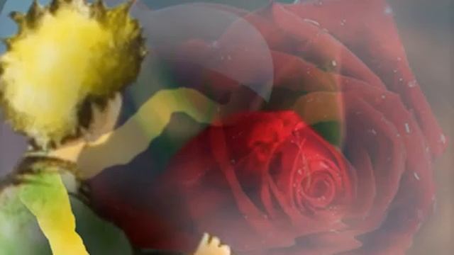 Под этой звездой. Из цикла "Цитируя Экзюпери" смотреть онлайн