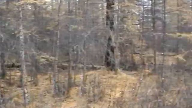 Охота на Зайцев 2006 часть 5 (Верхоянский район) смотреть онлайн