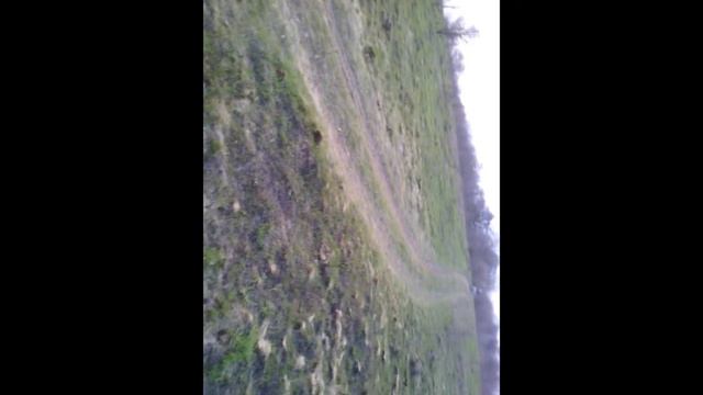 Друг упал з велосипеда. смотреть онлайн