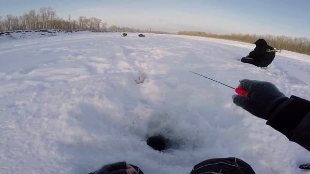 Чудеса творит коза!!! БЕЗМОТЫЛКА vs ГЛУХОЗИМЬЕ Ловля на козу зимой смотреть онлайн