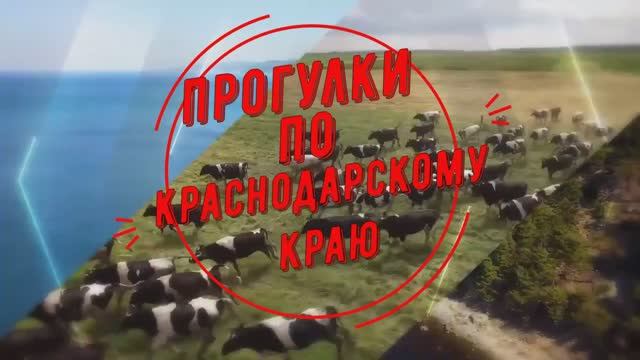Прогулки по Краснодарскому краю. М.Ю. Лермонтов.mp4 смотреть онлайн