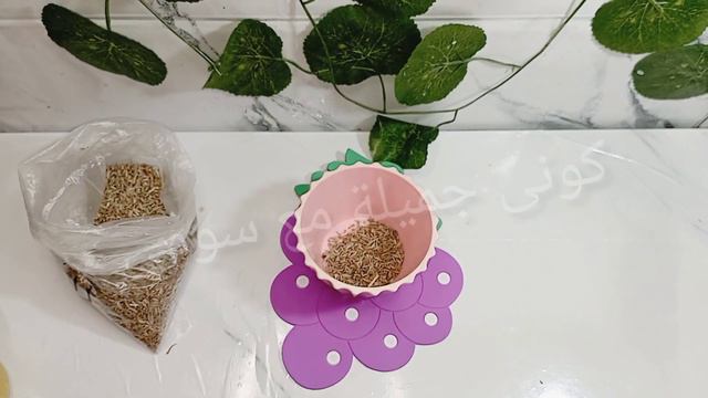 وصفة جدتى لمنع تساقط الشعر وتطويل الشعر و تقوية البصيلة وتجعله سميك و ناعم смотреть онлайн