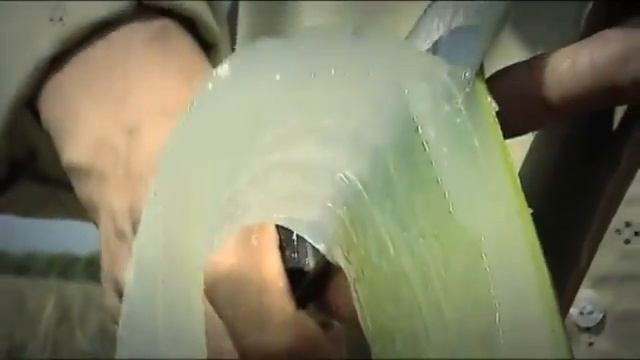 Продукция LR и стандарты качества