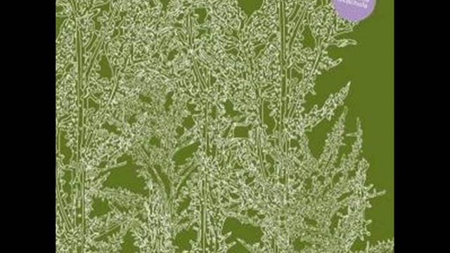Ricardo Villalobos - What You Say Is More Than I Can Say смотреть онлайн