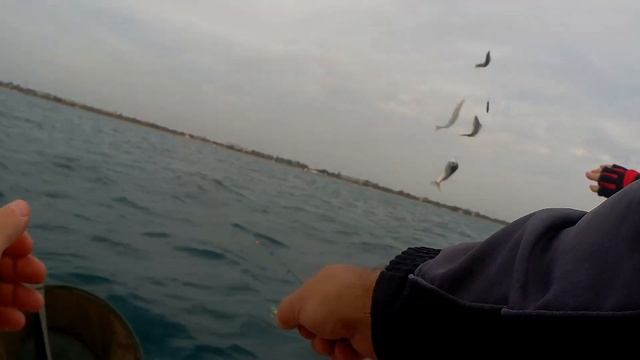 КРЫМ ЕВПАТОРИЯ ОСЕННЯЯ РЫБАЛКА В ЧЕРНОМ МОРЕ смотреть онлайн
