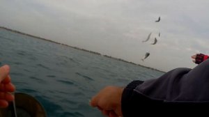 КРЫМ ЕВПАТОРИЯ  ОСЕННЯЯ РЫБАЛКА В ЧЕРНОМ МОРЕ