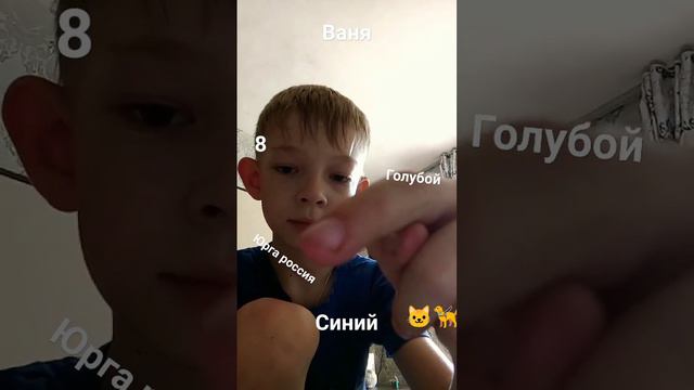 мне 8 я Ваня любимый цвет синий питомцы кошки собаки цвет глаз голубой смотреть онлайн