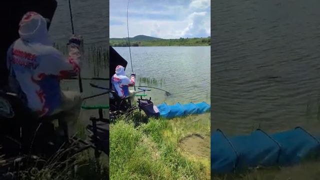 леща на 3 кг 130 гр КРЫМ мой личный рекорд смотреть онлайн