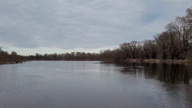 р.Припять, Ольшанское болонье   #1марта#микошевичи#ольшаны#полноводие