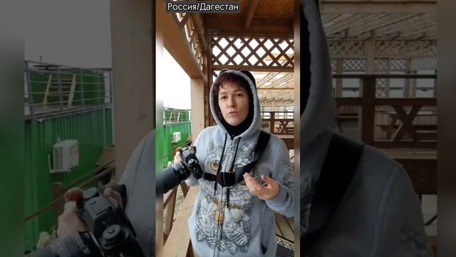 Фотоохота на фотографа. Начало