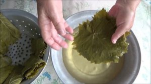 Как правильно заморозить Виноградные листья на зиму.Секреты Южанки для Голубцов Сарма Долма Толма