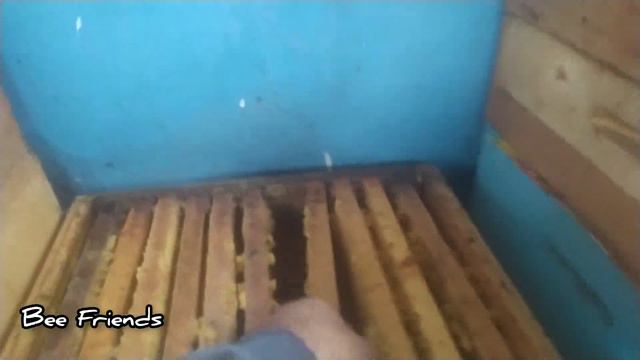 Жесть! Что случилось, где делись пчелы? смотреть онлайн