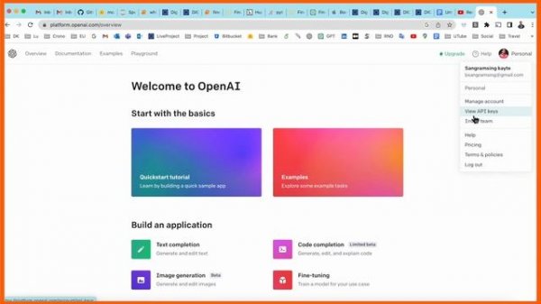 How to create OpenAI API keys | Get Open AI API Key