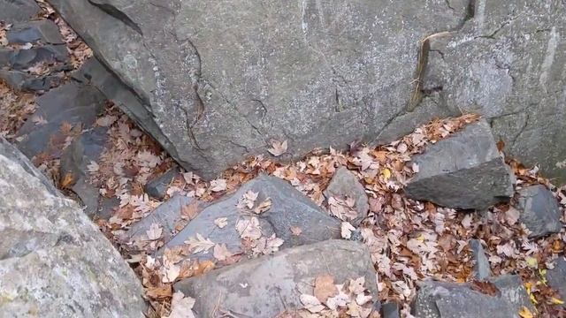 Fall Colors 2020 | A Drive Through The Fall Colors | Life In Car With Sudden Hailstorm, Rainbows