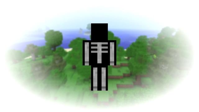 Random Minecraft Skin - Skeleton Costume смотреть онлайн