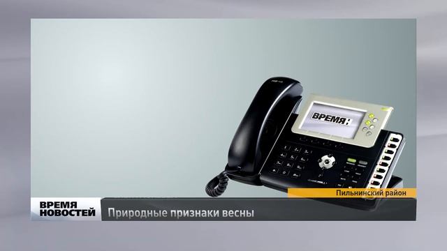 Первые подснежники в Нижегородской области смотреть онлайн