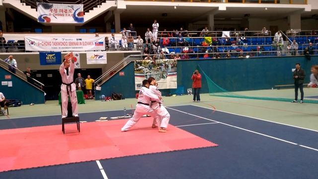Taekwondo Exhibition - 19. U-Chong Seminar Slovakia смотреть онлайн