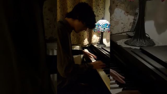 Skeleton Boomerang - Disco Necropolis [Piano Cover] смотреть онлайн
