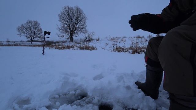 плотва как селëдка ловим на без мотылку вдоль камыша смотреть онлайн