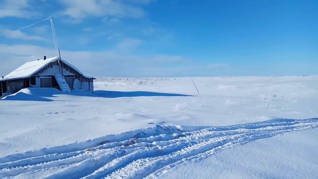 Тундра. Кольский полуостров смотреть онлайн