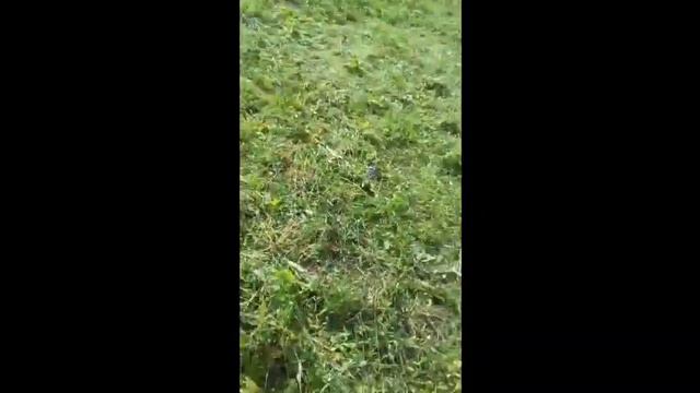 сохранившиеся видео фрагменты моей первой поездки на машине длинной в 2 дня смотреть онлайн