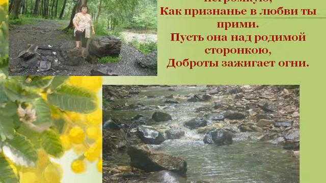 Презентация: Вороная Татьяна Николаевна смотреть онлайн