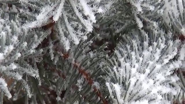 Видеть надо в инее смотреть онлайн