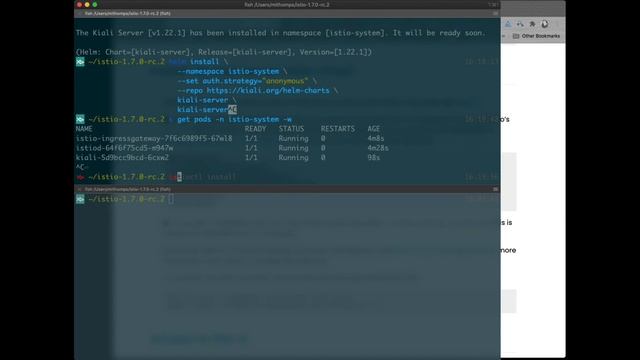 Kiali Helm Install into Istio 1.7.x смотреть онлайн