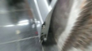 Lada Приора, как заменить заднюю дверь, как выставить зазоры и некие хитрости.