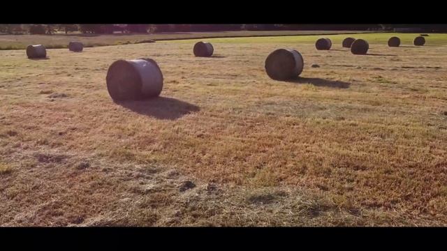 Farming Life - Farm Background Music for Farmers смотреть онлайн