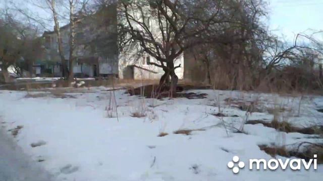 Красиво жить не запретишь!!! #летопись32 #осгтвбрянщины #жуковка смотреть онлайн