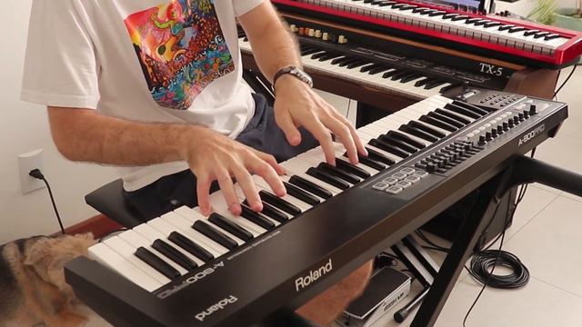 Vintage Keyboards - Organ, Mellotron and Synths смотреть онлайн