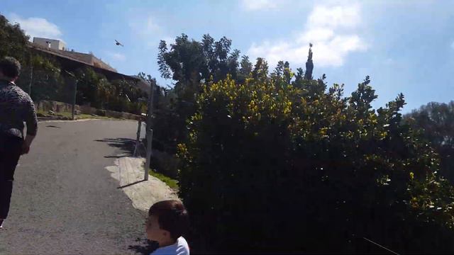 поход в зоопарк смотреть онлайн