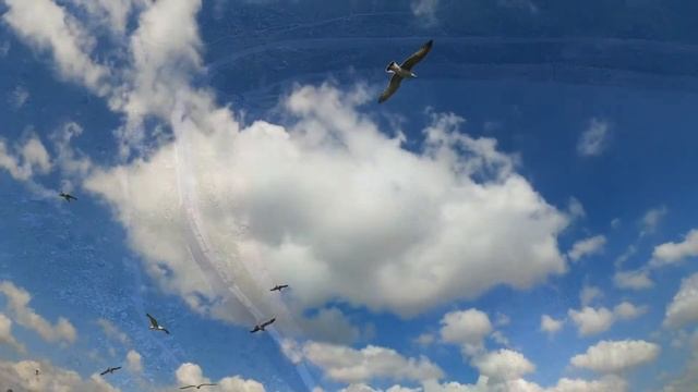 Музыка для души. Расcлабляющее видео для хорошего настроения.