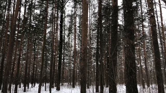 Каждую неделю жена уходила из дома, но муж не подозревал... Интересные истории измен, аудио рассказ смотреть онлайн