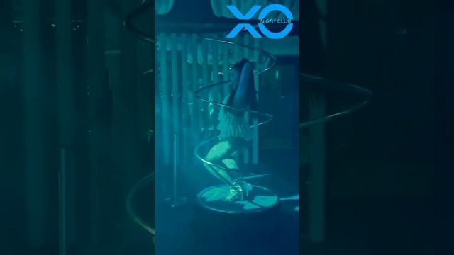 Техническое открытие ночного клуба ХО смотреть онлайн