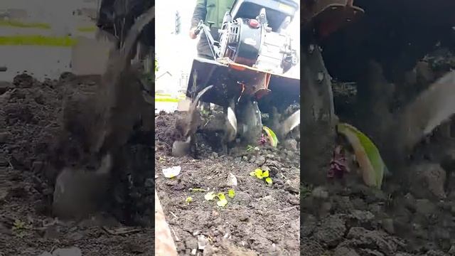 Мотокультиватор Carver 650R. смотреть онлайн