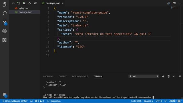 354 Project & npm Setup смотреть онлайн